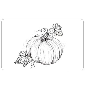 Sweet Poppy Stencil: Pumpkin Stamp
