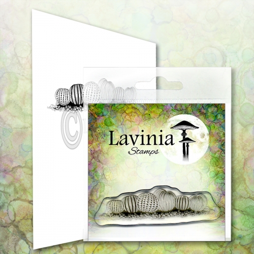 urchins-lav613-500x500 urchins-lav613-500x500