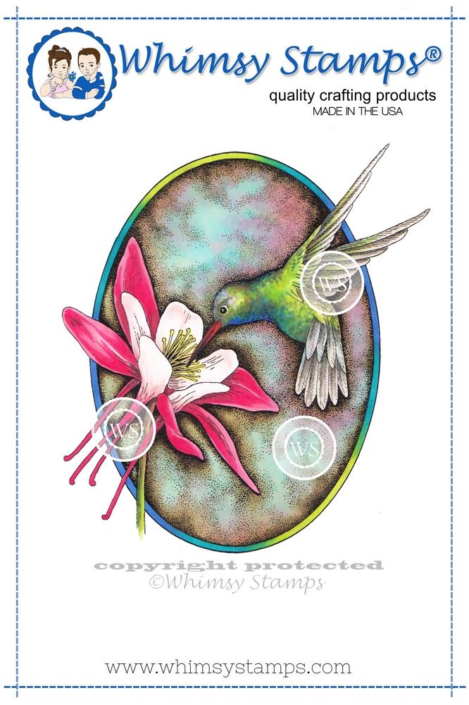 hummingbird_columbine_color_display_1024x1024