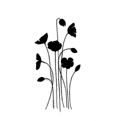 wild-poppies-web wild-poppies-web