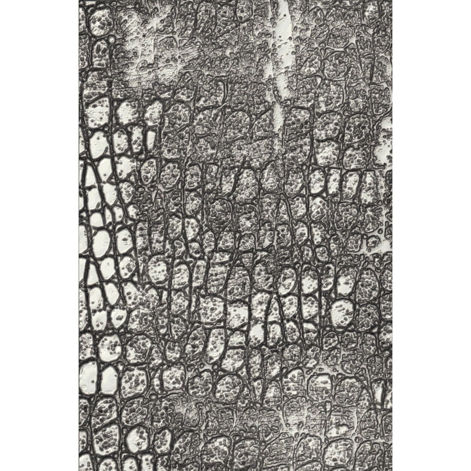 Sizzix • 3D Texture Fades Embossing Folder Reptile