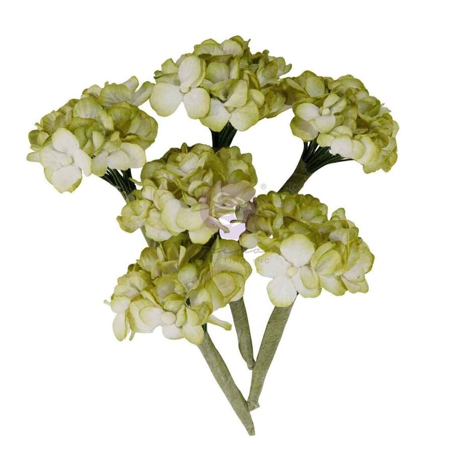 Prima Marketing - Homegrown Flowers Garden Hydrangea Mist (5pcs) by The 3 Girls Tale
