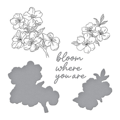 Spellbinders - Spring in Kyoto BetterPress Plate & Die Set Cherry Blossoms