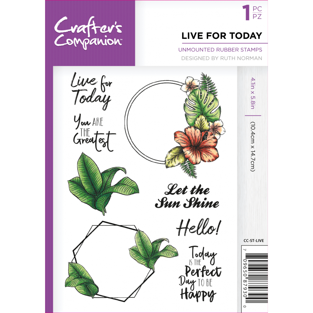 a6-unmounted-rubber-stamp-live-for-today-p34531-68158_zoom.jpg