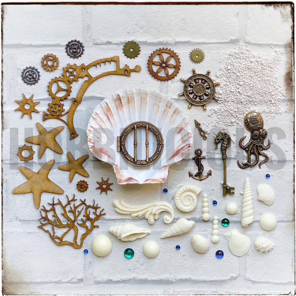 scallop-shell-sea-project