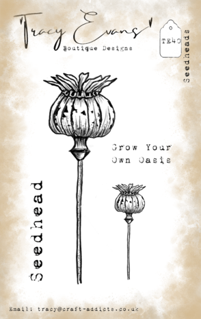 Tracy Evans - Seedheads A7 Stamp