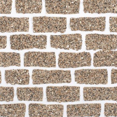 csgrcecilia csgrcecilia