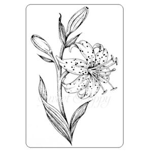 Sweet Poppy Stencil: Tiger Lily Stamp