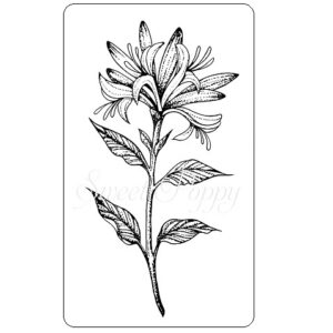 Sweet Poppy Stencil: Honeysuckle Stamp