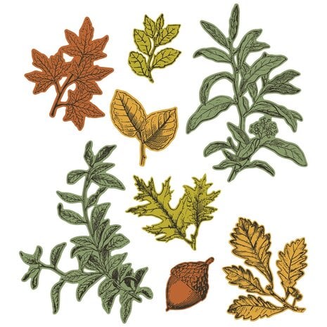 Sizzix • Framelits Die w/Stamps by 49 and Market A5 Forever Leaves (8+8pcs) Sizzix • Framelits Die w/Stamps by 49 and Market A5 Forever Leaves (8+8pcs)