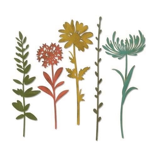 sizzix-thinlits-die-set-5pk-wildflower-stems-1-664163-tim-holtz-0119_49222_1_g sizzix-thinlits-die-set-5pk-wildflower-stems-1-664163-tim-holtz-0119_49222_1_g