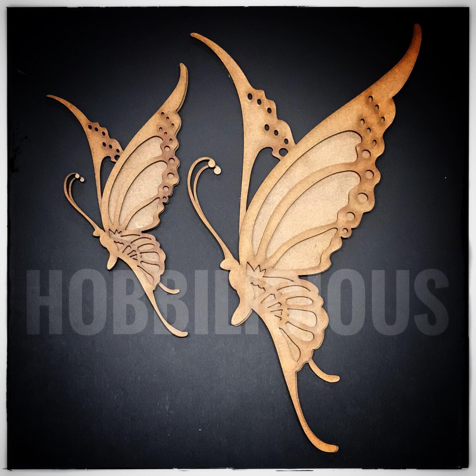 two-summer-butterflies