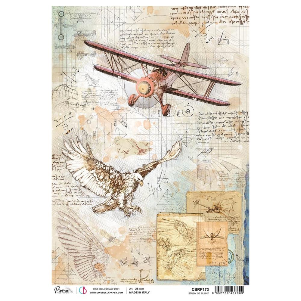 Ciao Bella Rice Paper - Study Of Flight, Sign Of The Times