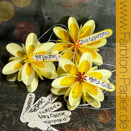 stempel-set-105