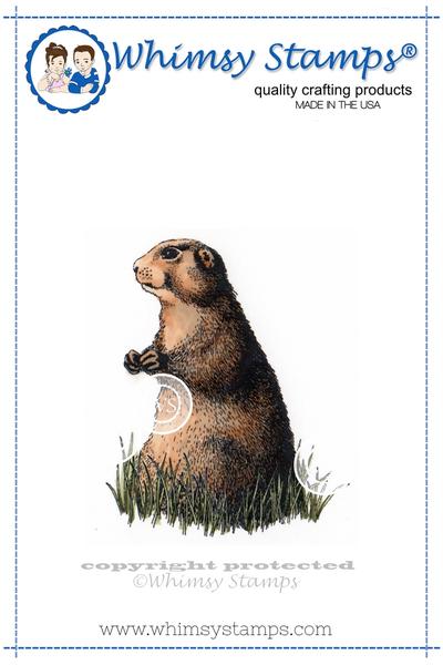 ground_squirrel_display_600x600