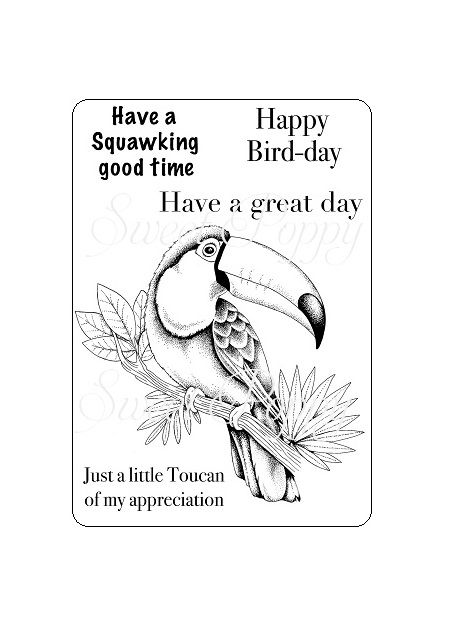 toucan-w-edit