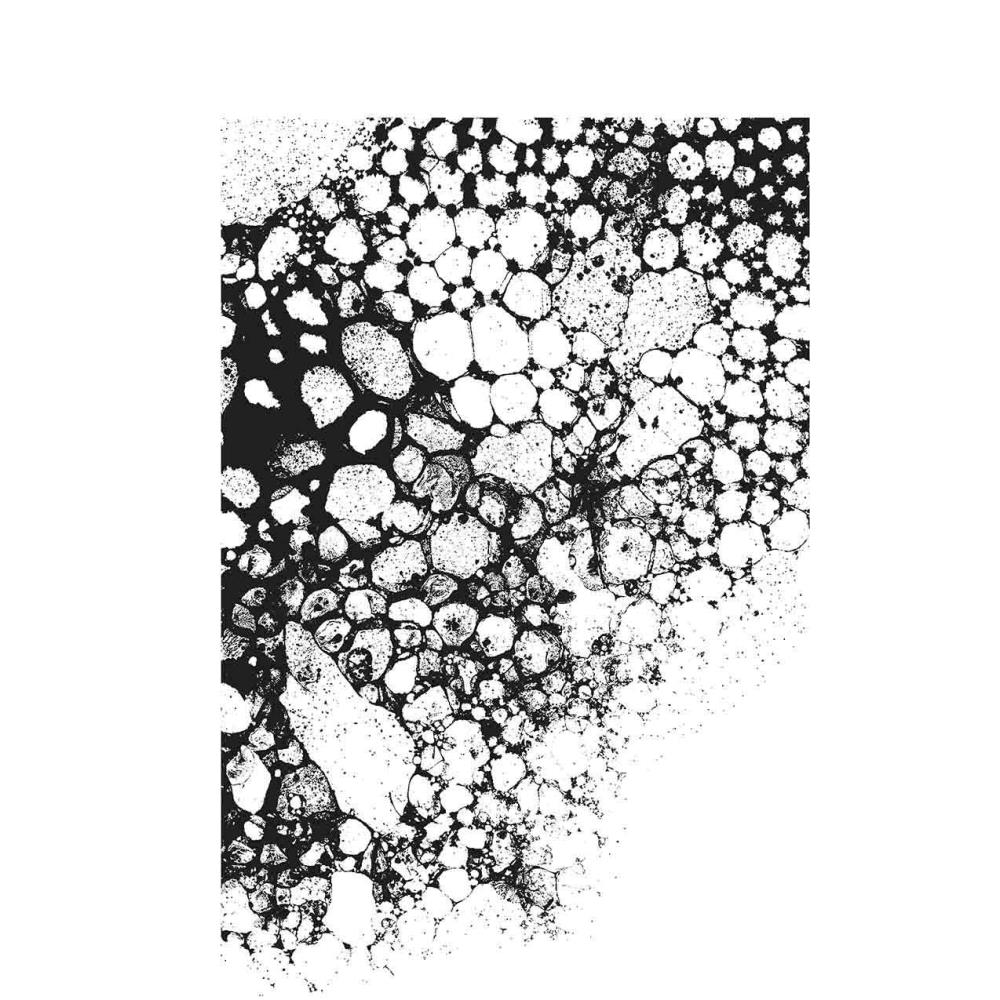0002147535