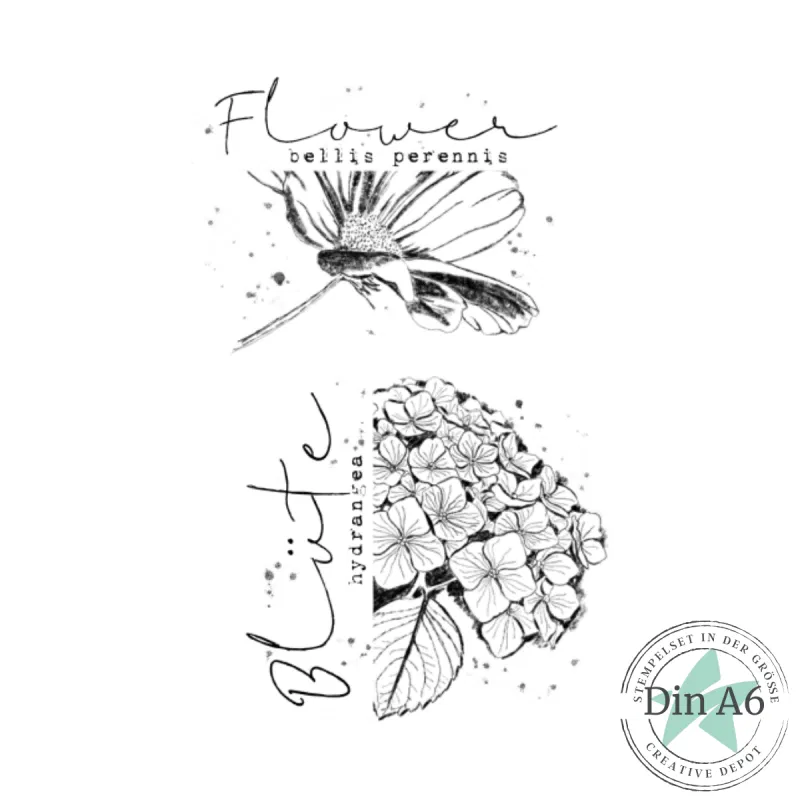 Creative Depot - Stempelset - Moderne Blüten