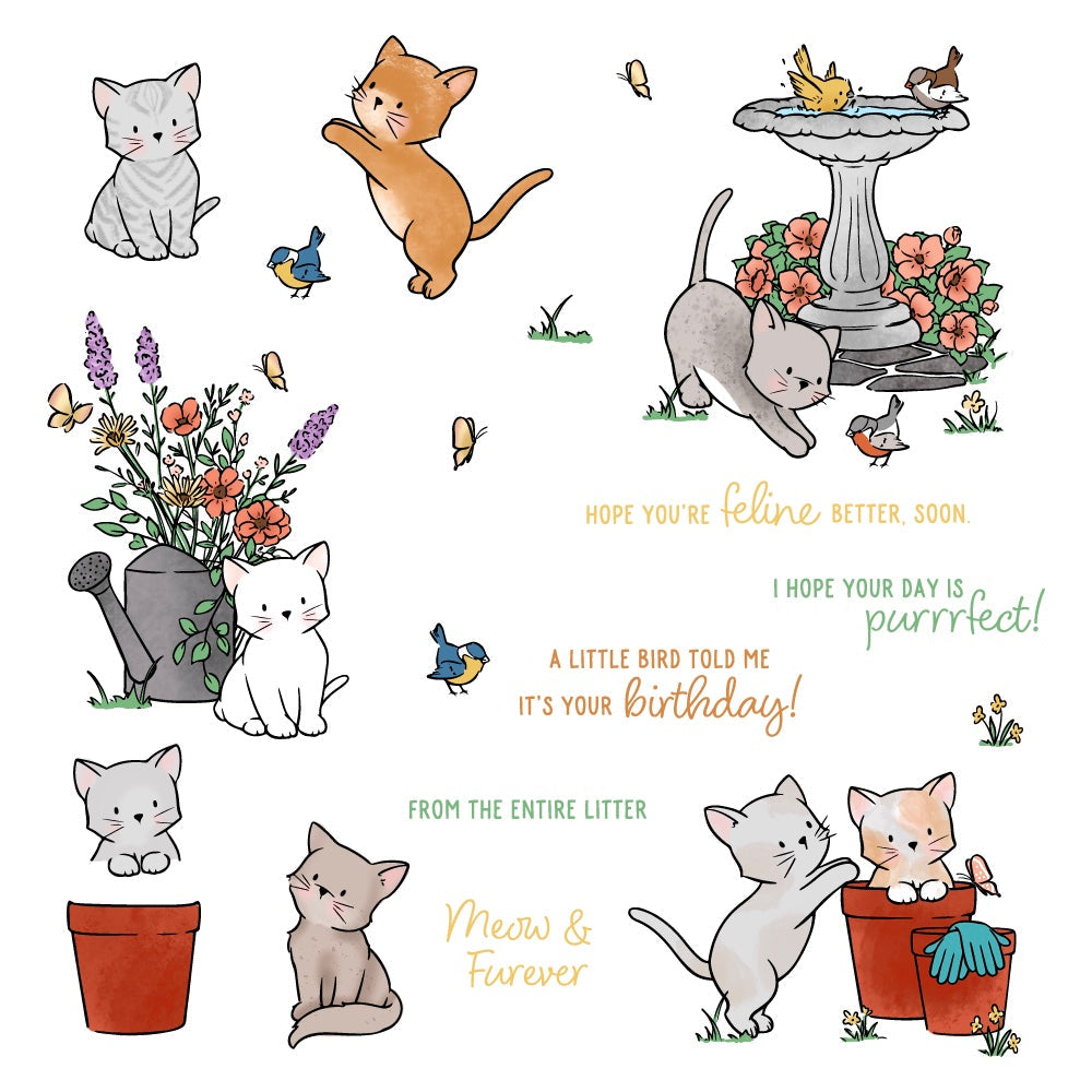 Honey Bee -   Meow & Furever - 6"x8" Clear Stamp Set  Honey Bee -   Meow & Furever - 6"x8" Clear Stamp Set
