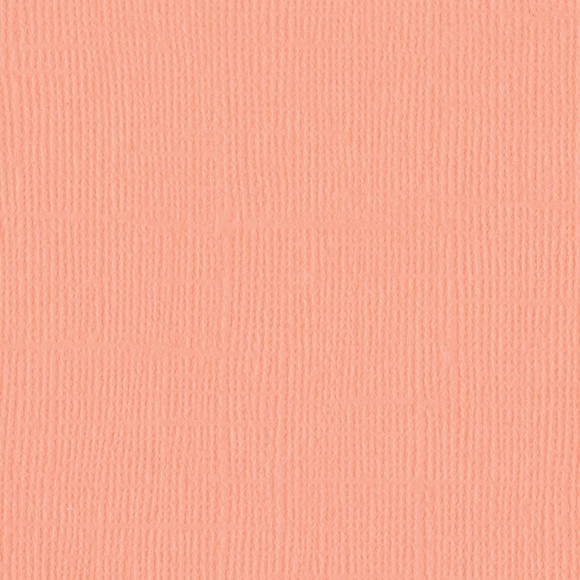 305048.jpg 305048.jpg