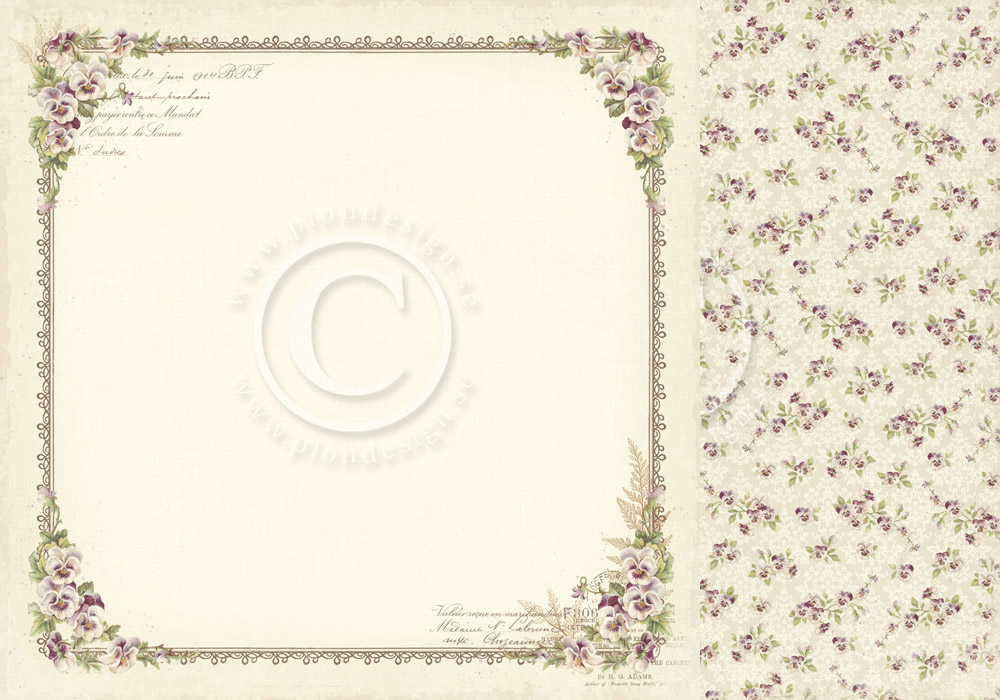 22752711-origpic-0c906b