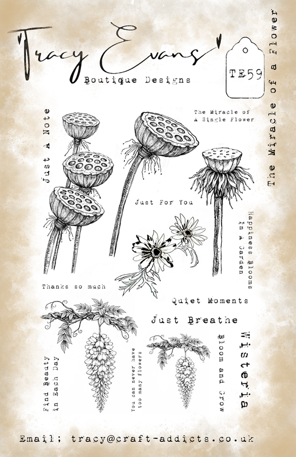 Tracy Evans - The Miracle Of A Flower A5 Stamp