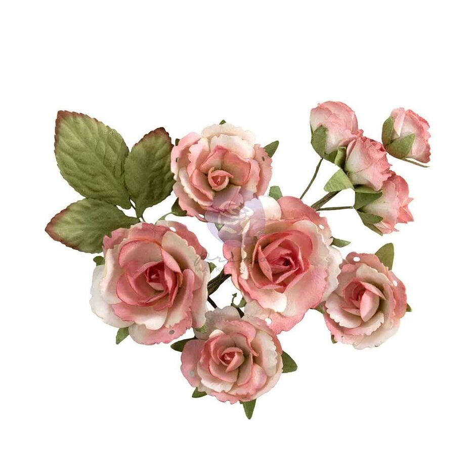Prima Marketing - Homegrown Flowers Garden Rose Blush (10pcs) by The 3 Girls Tale