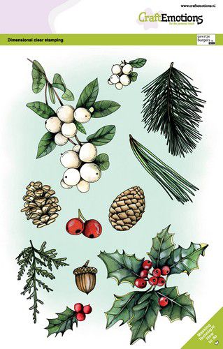 craftemotions-clearstamps-a5-weihnachten-florestisch-1-gb-dimen-321860-de-g