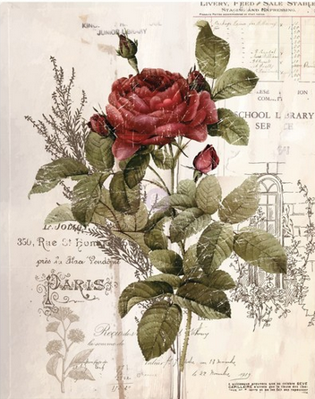 Re-Design with Prima -Botanical Rose 24x35 Inch Decor Transfers 