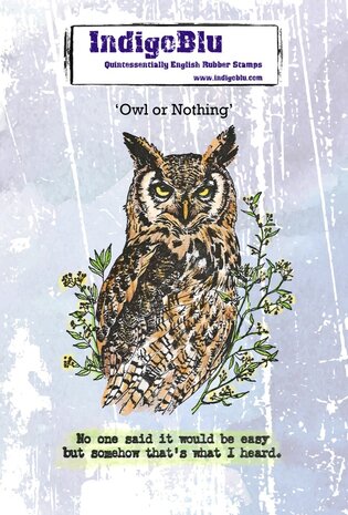 IndigoBlu - Owl or Nothing A6 Red Rubber Stamp