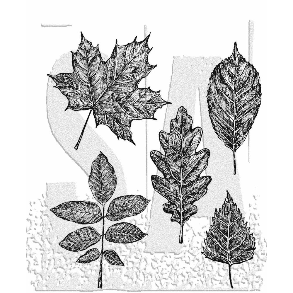 Tim Holtz - Sketchy Leaves