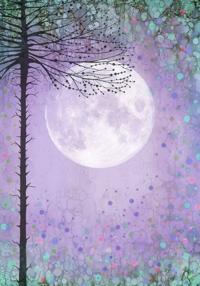 misty-morning misty-morning