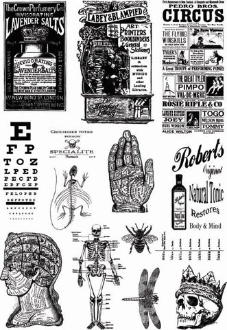 Andy Skinner Mixed Media Transfer "Alchemy Plus"