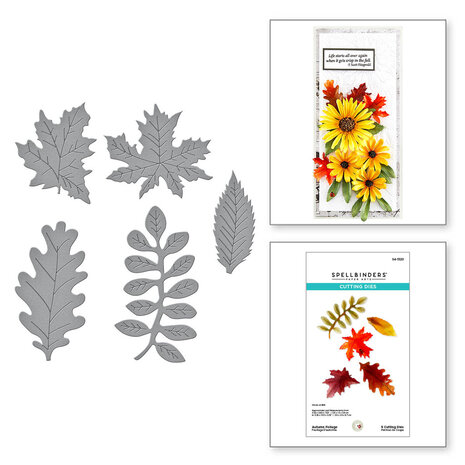 Spellbinders - Autumn Foliage Etched Dies