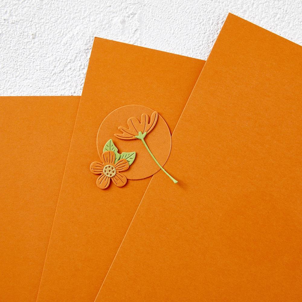 Spellbinders Color Essentials Cardstock 8.5"X11" - Tangerine