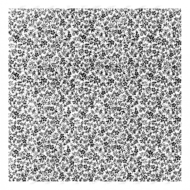 cc393_640x639 cc393_640x639