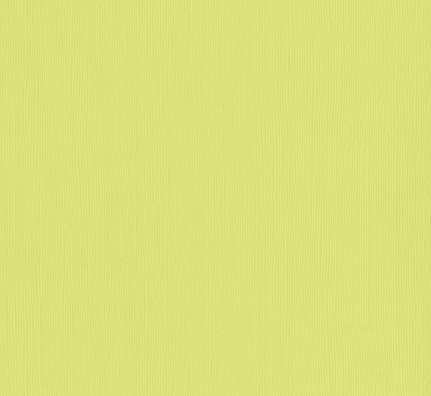 0509-limeade