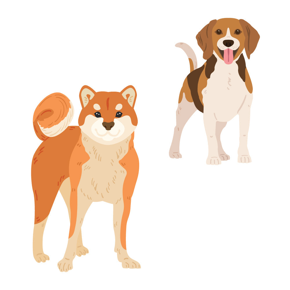 Honey Bee -  Lovely Layers: Medium Dogs - Honey Cuts 
