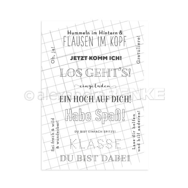 flausen_im_kopf_clear_stamp_renke_600x600
