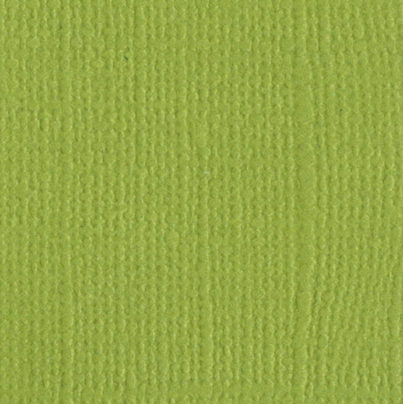 0510-parakeet